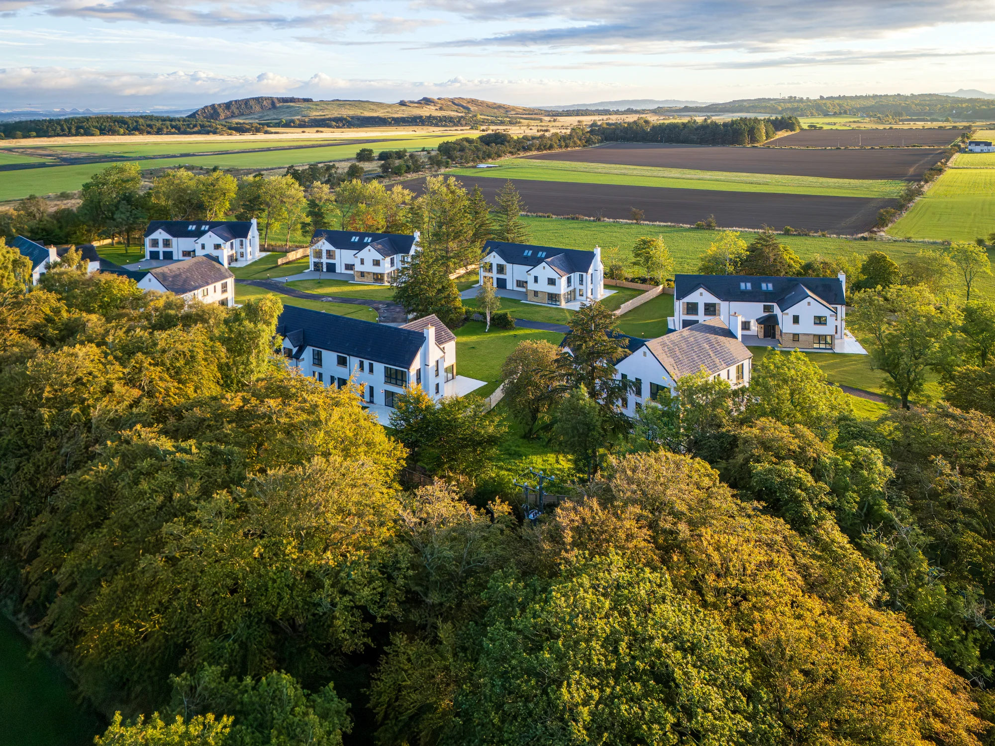 Inveroe’s white houses in the golden light, surrounded by mature woodland and fields